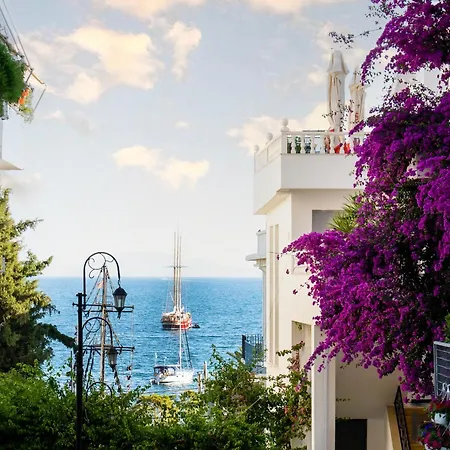 Saint 40 Deluxe Villa *